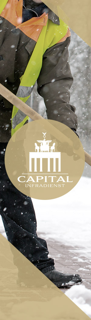 teaser-capital-infradienst-winterdienst